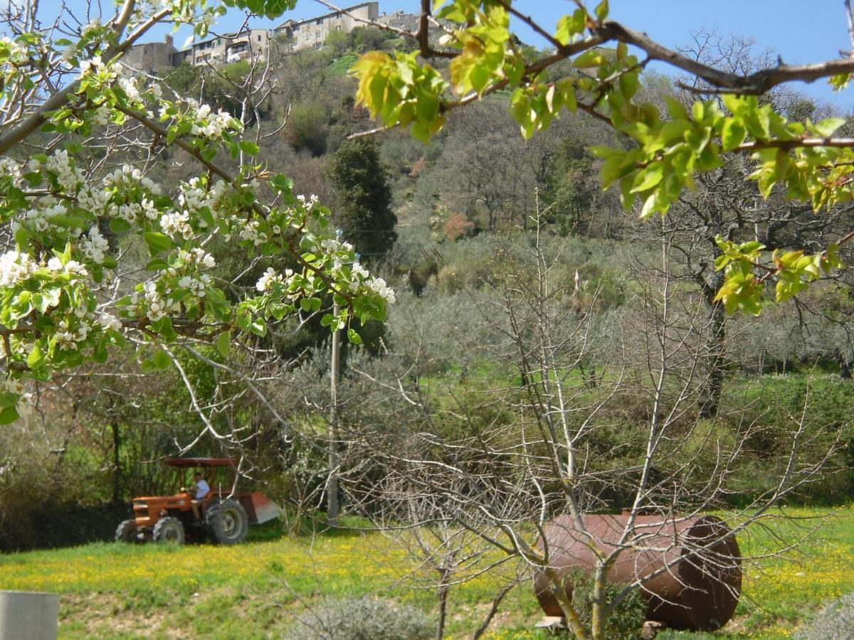 Montanari Agrivillage Narni Dış mekan fotoğraf