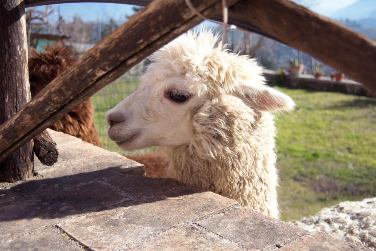 Montanari Agrivillage Narni Dış mekan fotoğraf